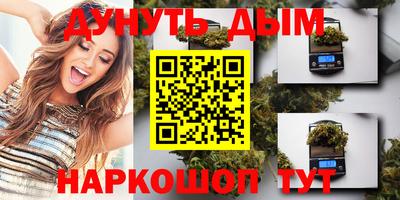 сатива Долгопрудный