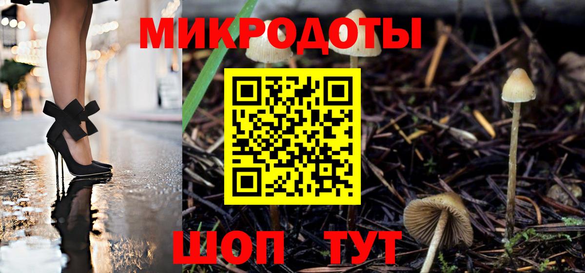 купить   Вход с VPN  Мценск  Псилоцибиновые грибы MAGIC MUSHROOMS 